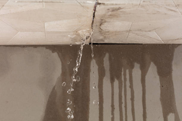 Professional Structural Drying technician working in Nichols, WI
